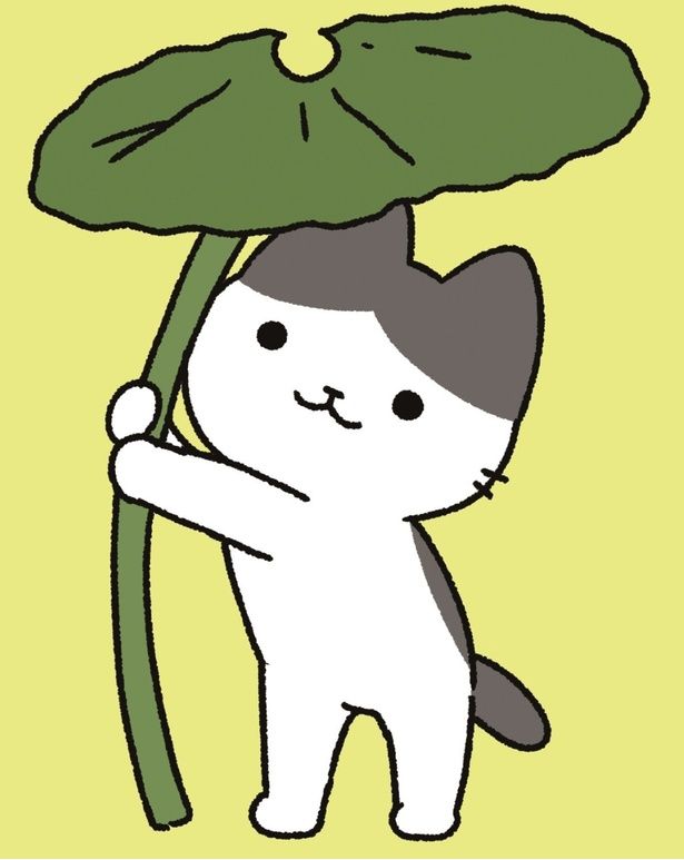 ころぽっくる （C）ぱんだにあ／竹書房