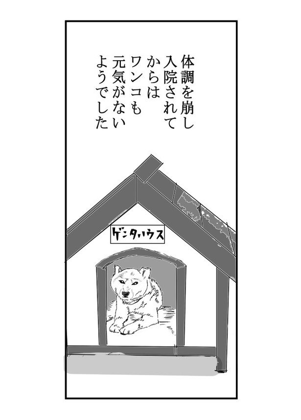 同行_P04 送達ねこ(@jinjanosandou)