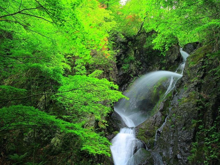 All About ニュース編集部は、全国10～60代の男女250人を対象に「滝」に関する独自のアンケート調査を実施。冬に行きたい「岩手県の滝」で1位に選ばれたのは？