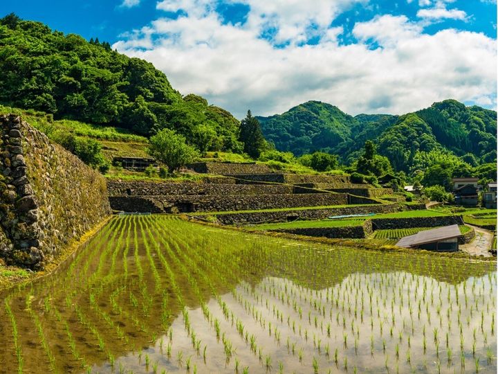 All About ニュース編集部は、全国20～70代の男女250人を対象に「自治体」に関する独自のアンケート調査を実施。読むのが難しいと思う「熊本県の自治体」で1位に選ばれたのは？