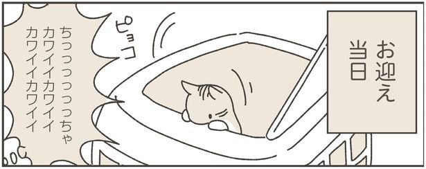 お迎え当日 (C)つゆちゃんの飼い主／KADOKAWA