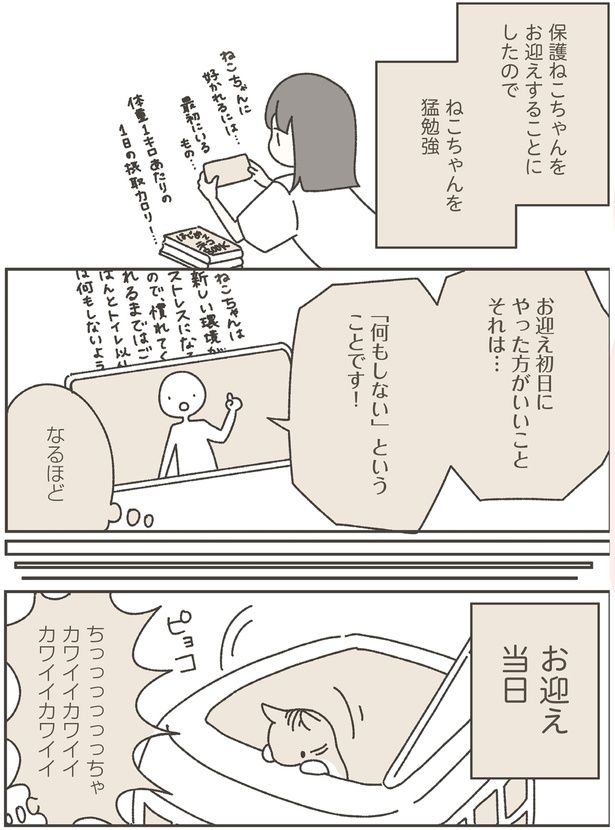 ねこちゃんを猛勉強 (C)つゆちゃんの飼い主／KADOKAWA