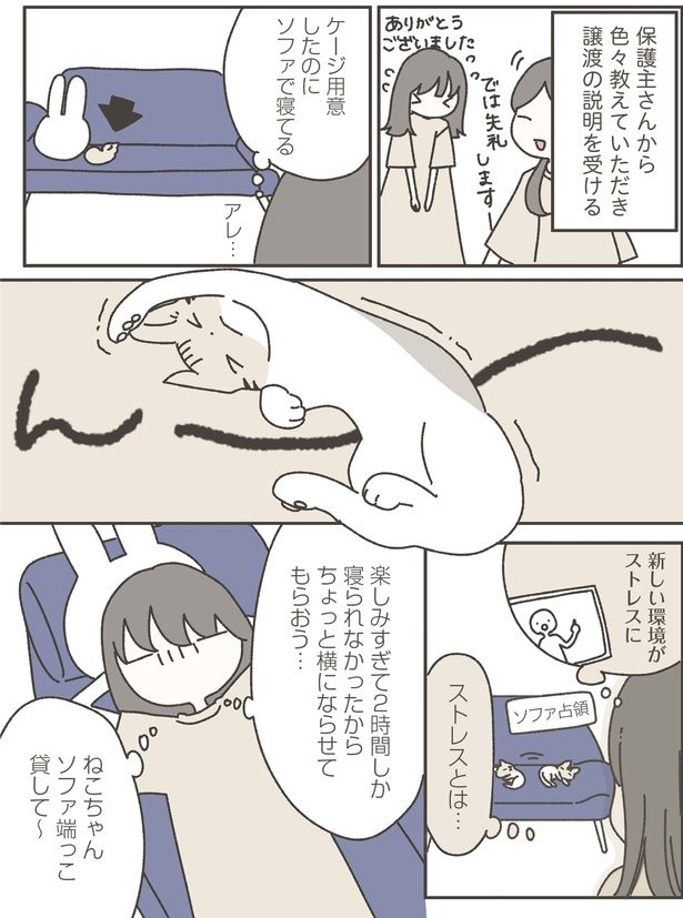 保護主さんから色々教えていただき (C)つゆちゃんの飼い主／KADOKAWA