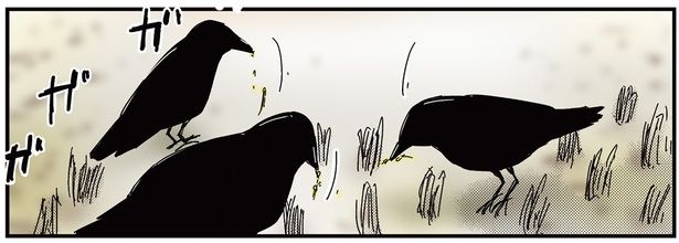 地面をつつくカラスたち （C）青春／KADOKAWA