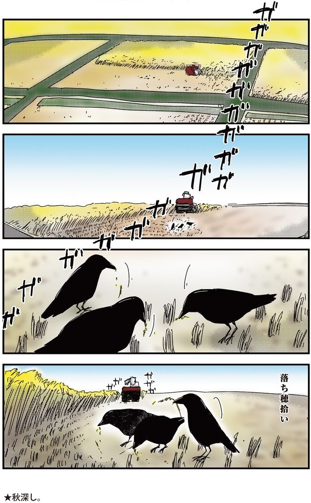 落ち穂拾い （C）青春／KADOKAWA
