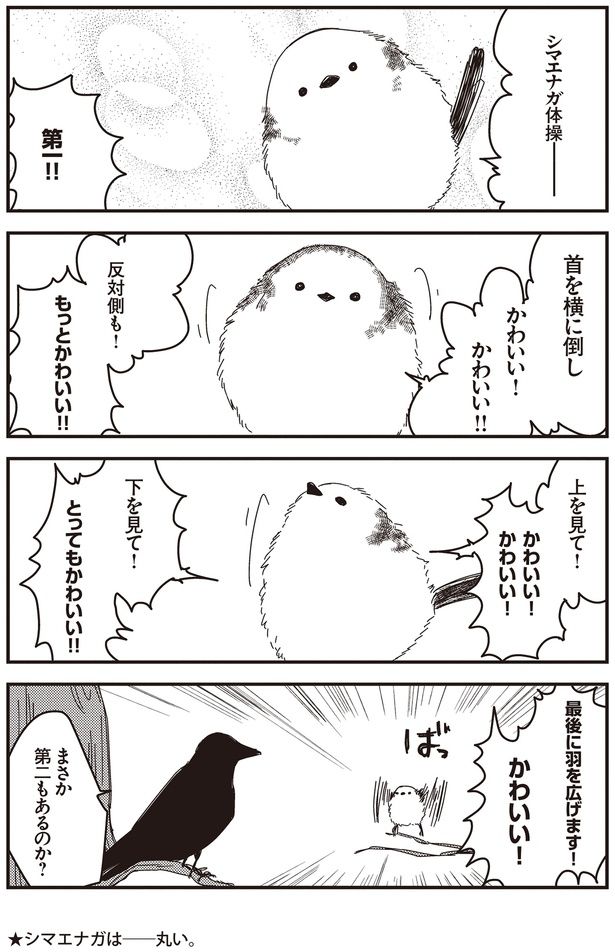 まさか第二もあるのか？ （C）青春／KADOKAWA