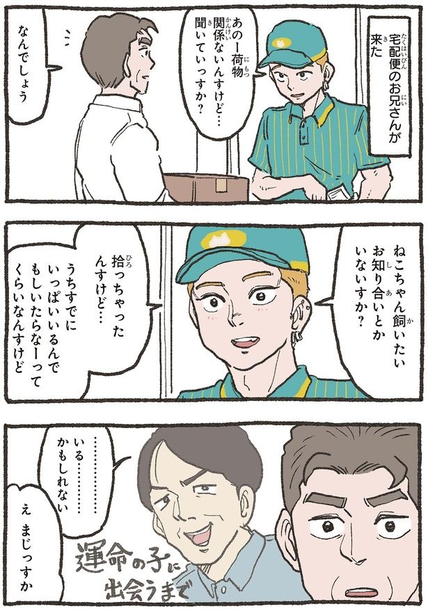 ねこちゃん飼いたいお知り合いとかいないすか？ （C）やじま／KADOKAWA