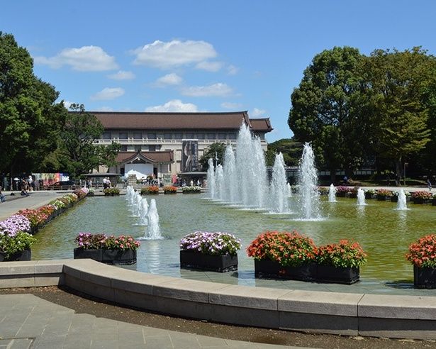 上野恩賜公園 〜 東京国立博物館 〜 国立西洋美術館 〜 上野東照宮 〜 不忍池をめぐる！上野の森で、文化芸術と歴史を楽しむさんぽコース