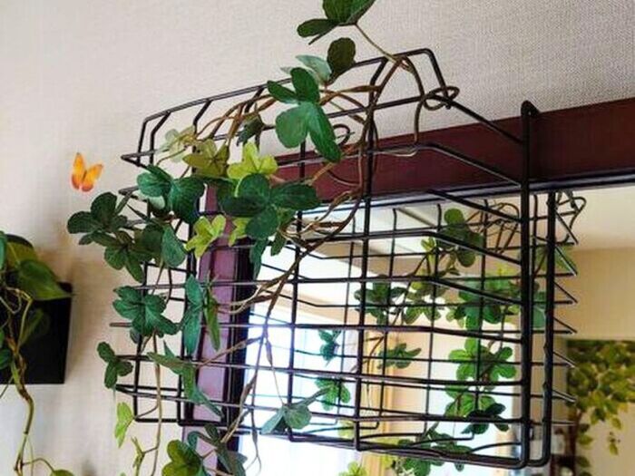 【100均収納】横に差し込んで使う物ですが…私は、縦で使います！