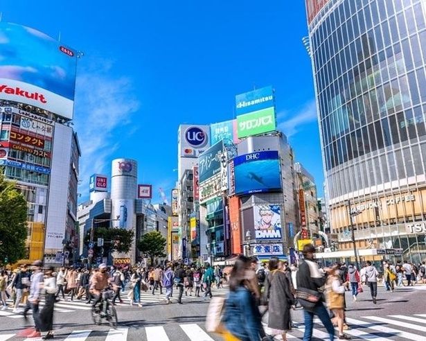 JR原宿駅 〜 明治神宮(原宿口) 〜 東急プラザ表参道「オモカド」 〜 表参道ヒルズ 〜 渋谷川沿いの散策ルート(キャットストリート) 〜 MIYASHITA PARK 〜 渋谷スクランブルスクエア 〜 SHIBUYA SKYをめぐる！ファッションの街・原宿〜表参道〜渋谷コース