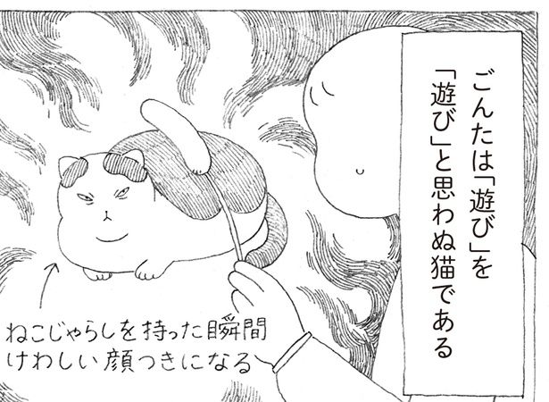 ねこじゃらしを持った瞬間 (C)オイル富／KADOKAWA