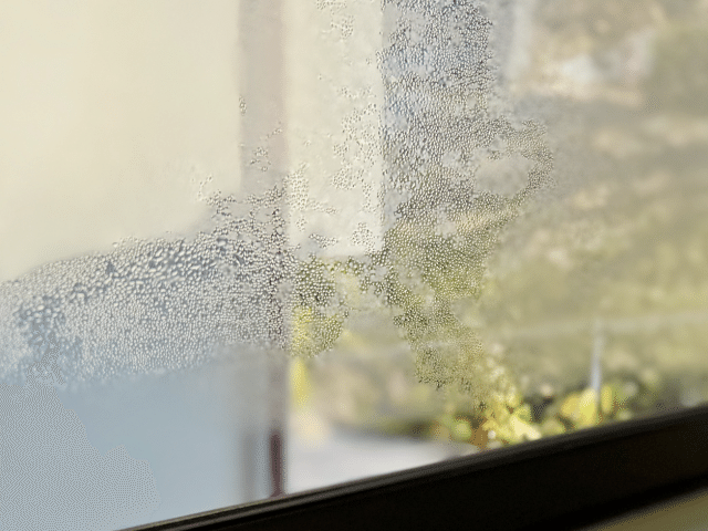 窓の結露