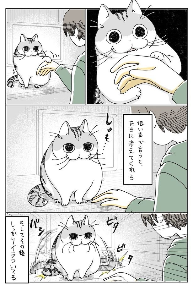 02 画像提供：キュルZ@kyuryuZ