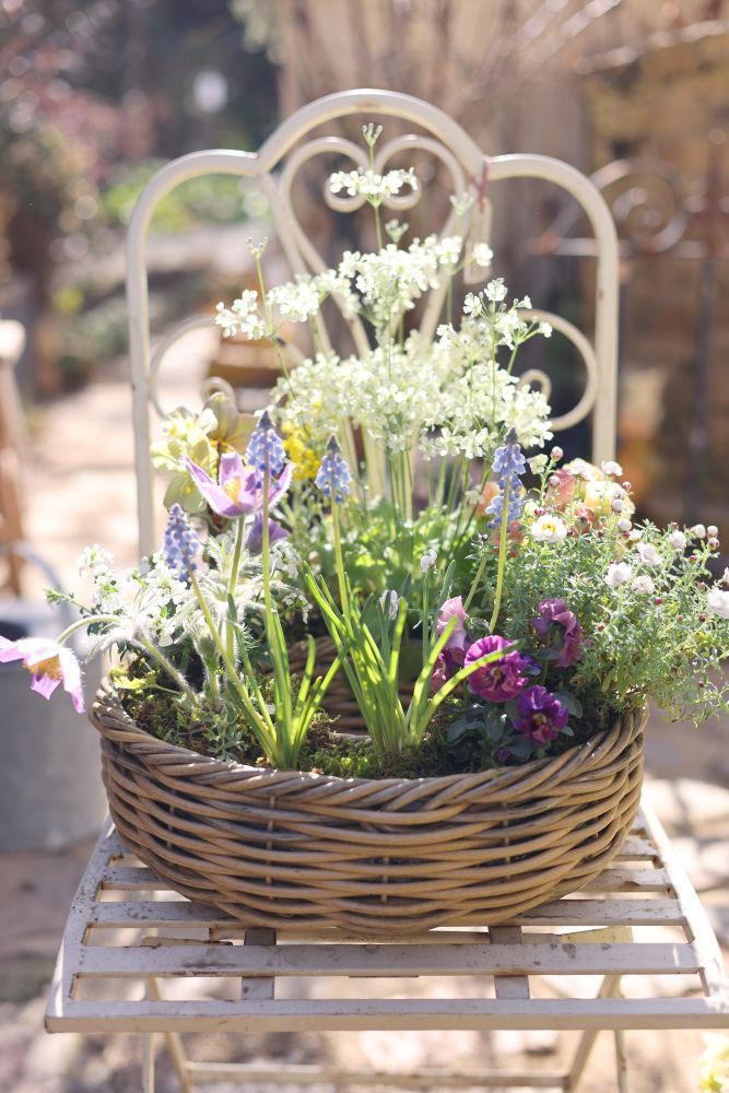春のリース寄せ植え
