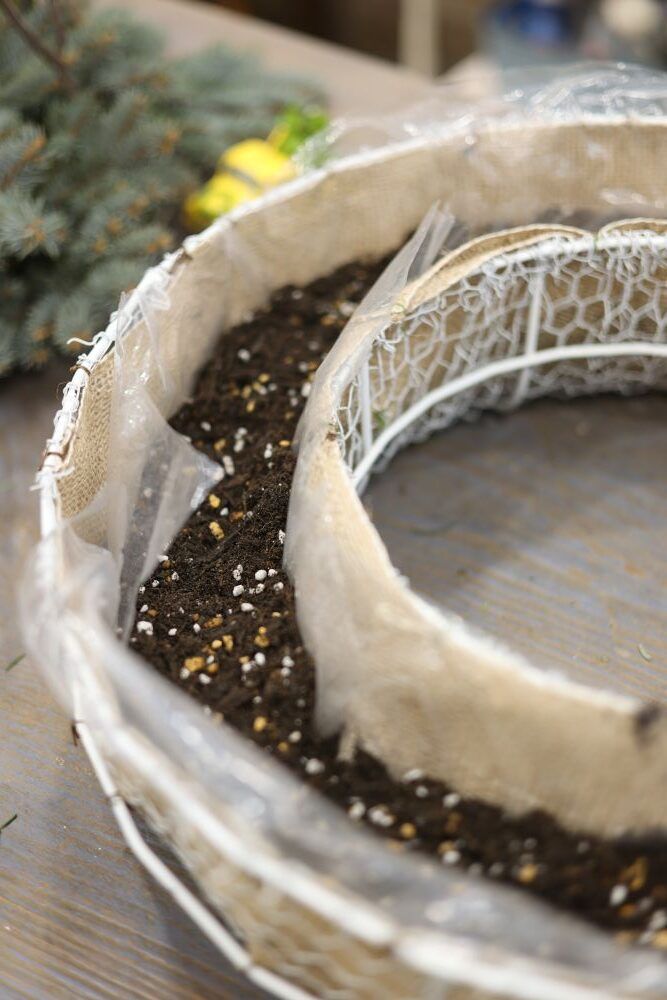 リース形寄せ植え