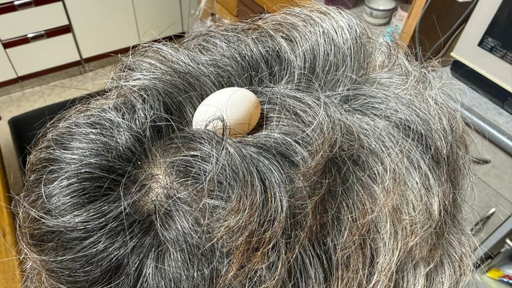 ぽぅぽぅのいる世界さん（@popoko0501）のXより