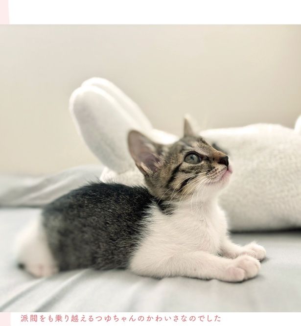 派閥をも乗り越える (C)つゆちゃんの飼い主／KADOKAWA