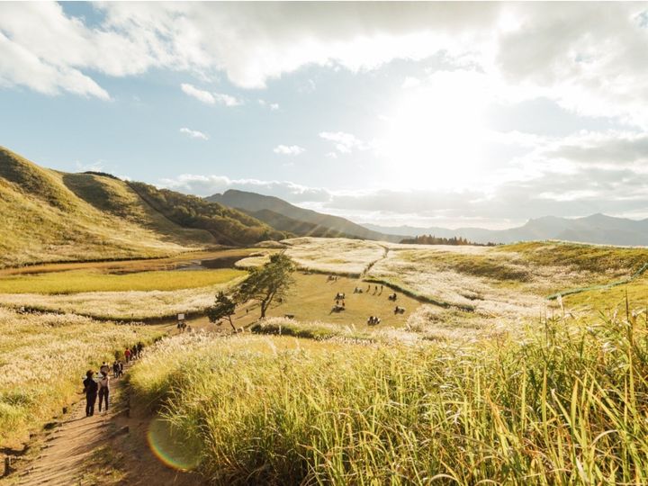 All About ニュース編集部が全国250人を対象に実施した「和歌山県の自治体に関するアンケート」の調査結果から、「読むのが難しいと思う和歌山県の自治体」ランキングを発表！ 2位「御坊市」を抑えた1位は？