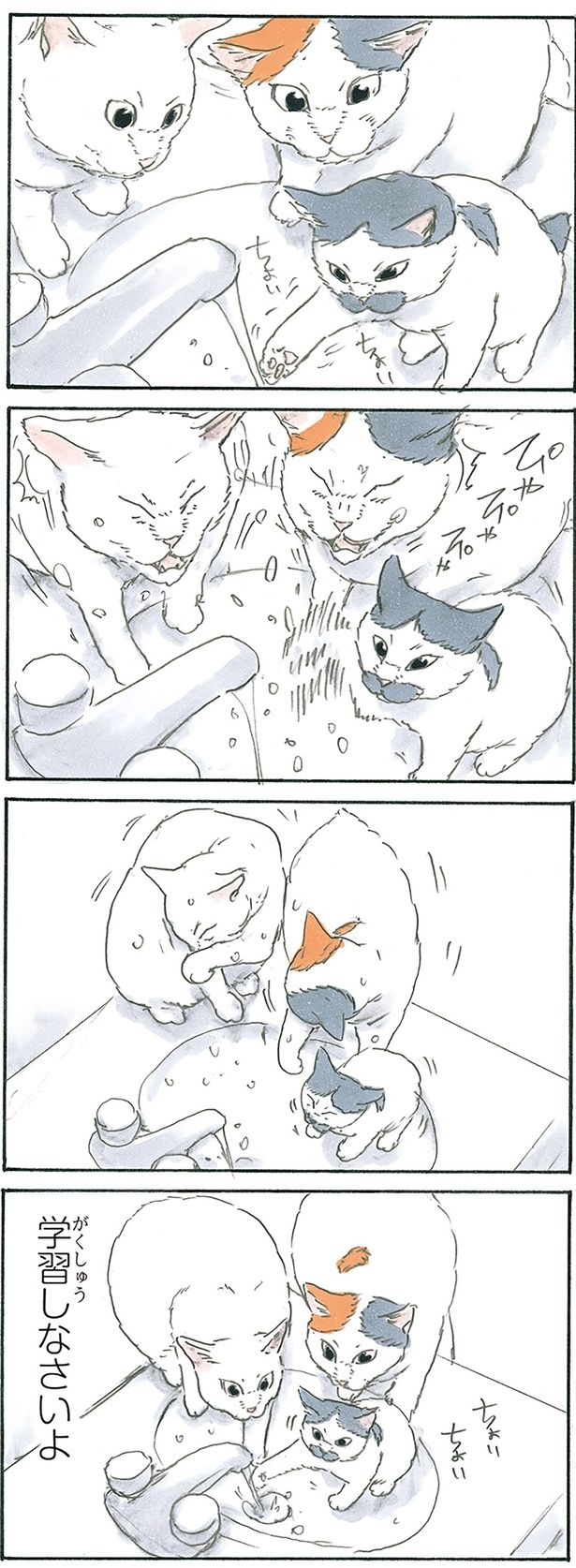 水 （C）にごたろ／KADOKAWA