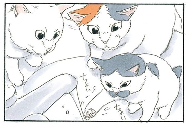 ちょいちょい （C）にごたろ／KADOKAWA