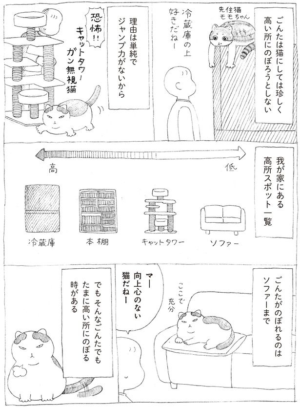 ジャンプ力がないから (C)オイル富／KADOKAWA