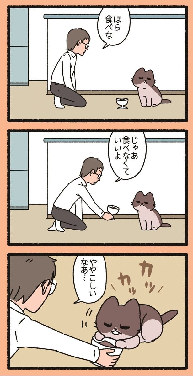 ほら食べな （C）ぱんだにあ／竹書房