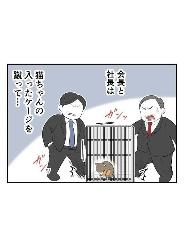 『飼い主をなくした猫と父』06 画像提供：尾持トモ(＠o0omotitomo0o)