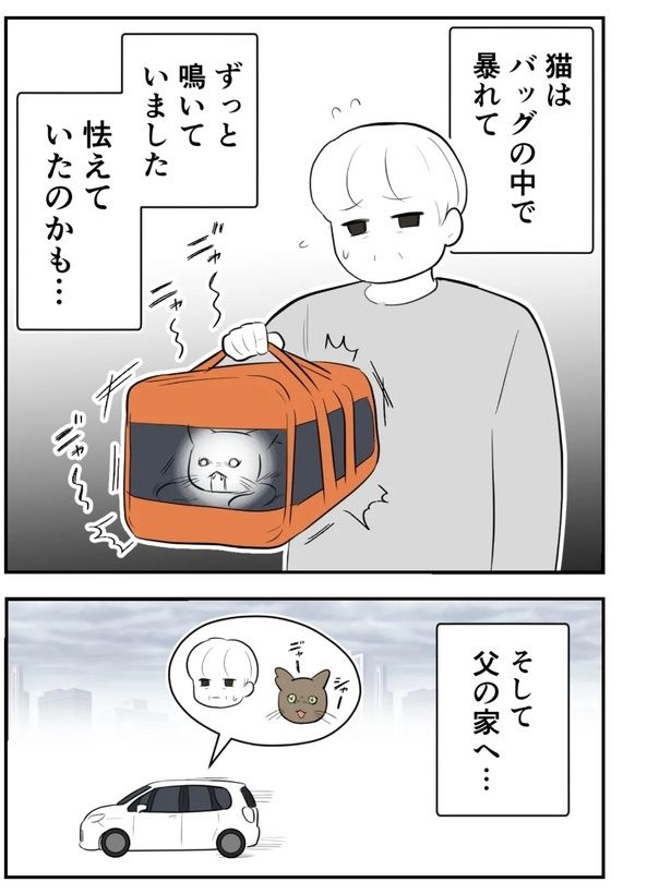 『飼い主をなくした猫と父』20 画像提供：尾持トモ(＠o0omotitomo0o)