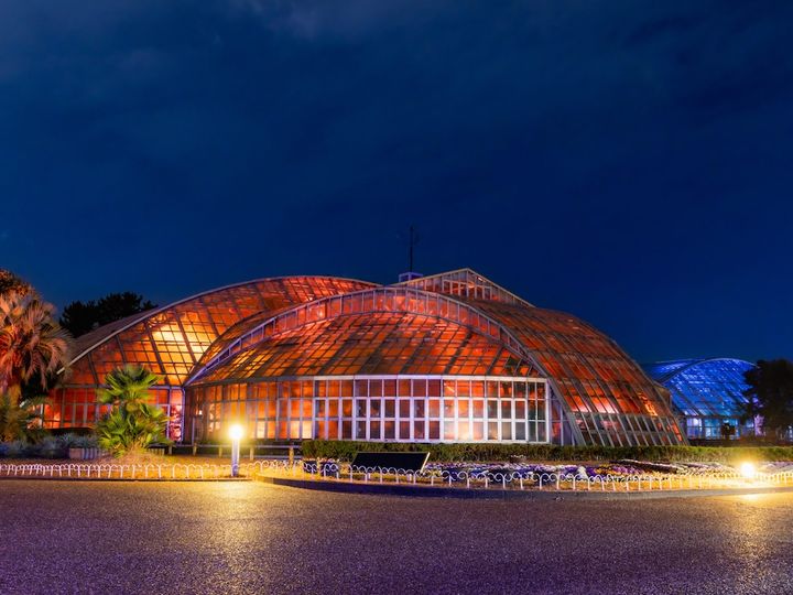 京都府立植物園 観覧温室
