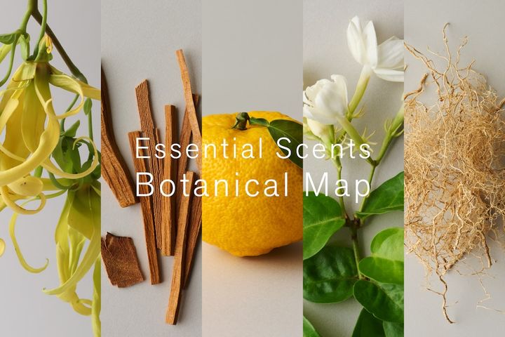 ボタニカルマップ