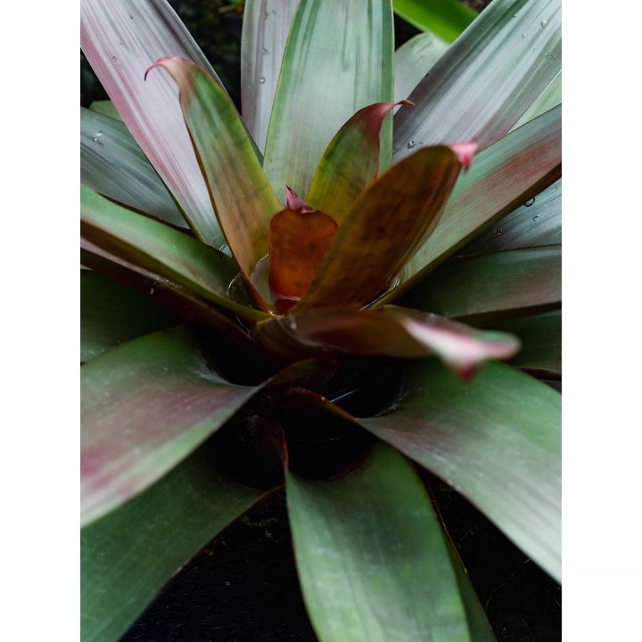 THREE THE ROOM OF (IN) SCENTS 日中のイメージ