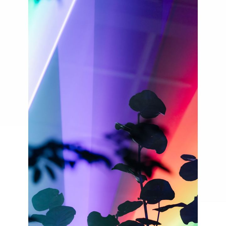 THREE THE ROOM OF (IN) SCENTS 夜のイメージ