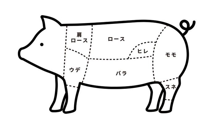 豚肉の部位解説 イラスト