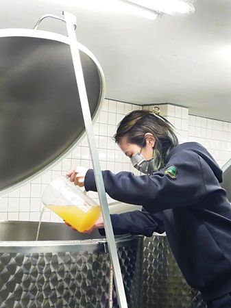 【神奈川県・静岡県】「湘南ゴールドエール」が「果実香る 湘南ゴールドビール」としてリニューアル発売！