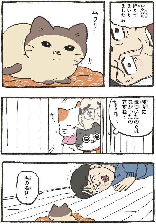 君の名は… （C）やじま／KADOKAWA