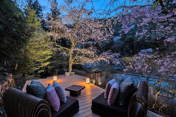 【写真】夜桜を眺める花桜テラス