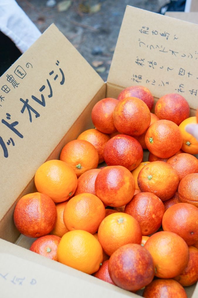 「KYUSHU LOVERS MARKET」ブラッドオレンジ