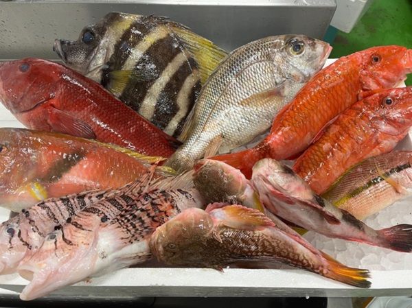 【東京都千代田区】東京駅のSDGsイベントで未利用魚「クロダイ」を味わおう！テイクアウトも