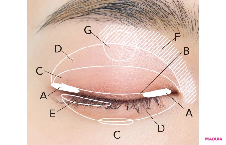 2026年春アイシャドウ エチュード ぽよんアイメイカー フレッシュコーラル 二重におすすめの塗り方