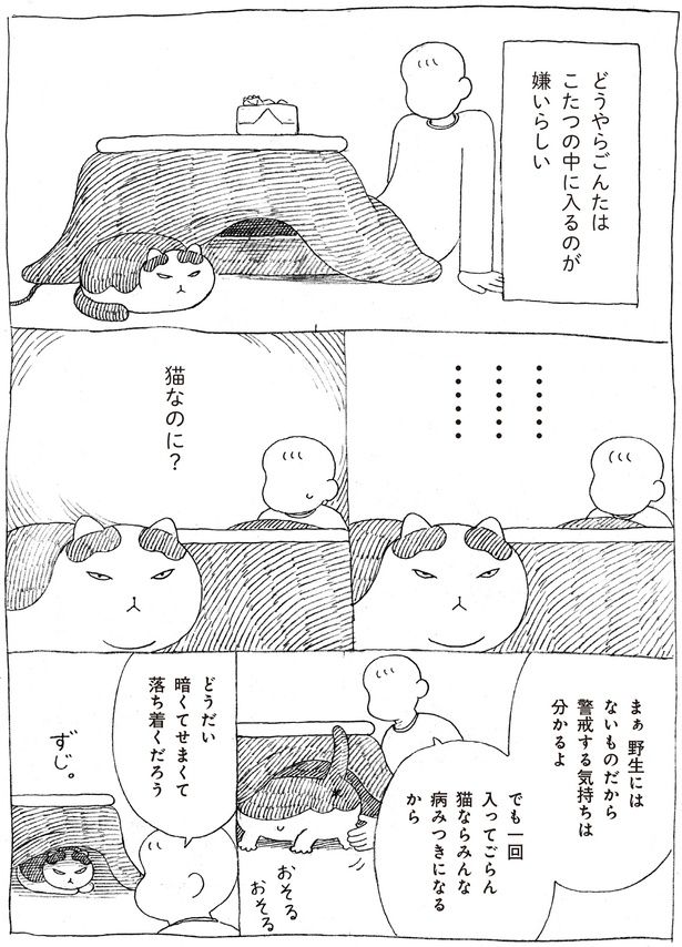 こたつの中に入るのが嫌いらしい (C)オイル富／KADOKAWA