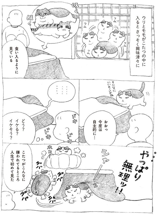 やっぱり無理ッ！！ (C)オイル富／KADOKAWA