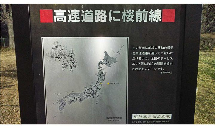 天気が読めたら雨知らず⁉︎気象予報士ライダーコラム「暖かさに喜ぶのはライダーも桜も同じ！」