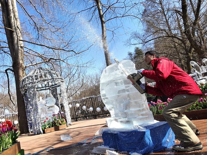 アイスカービングのライブパフォーマンス1