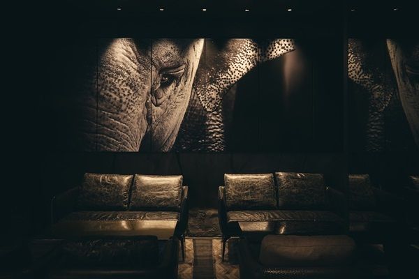 【東京都中央区】スパイスミクソロジーバー「THE GREY ROOM」に1夜限りのゲストバーテンダー登場！