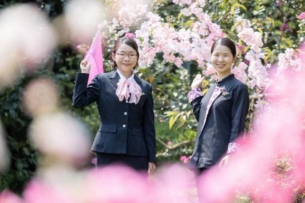 【写真】満開の桜に囲まれて案内役を務める界のスタッフ。オープンバスツアーでは、伊豆の春景色を360度で楽しみながら、桜の見どころや地域の魅力をガイドする