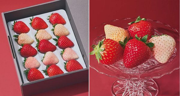 旬の“いちばん美味しい瞬間”を届ける！キュレイテッドフルーツブランド「ORVIIA」誕生