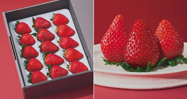 旬の“いちばん美味しい瞬間”を届ける！キュレイテッドフルーツブランド「ORVIIA」誕生