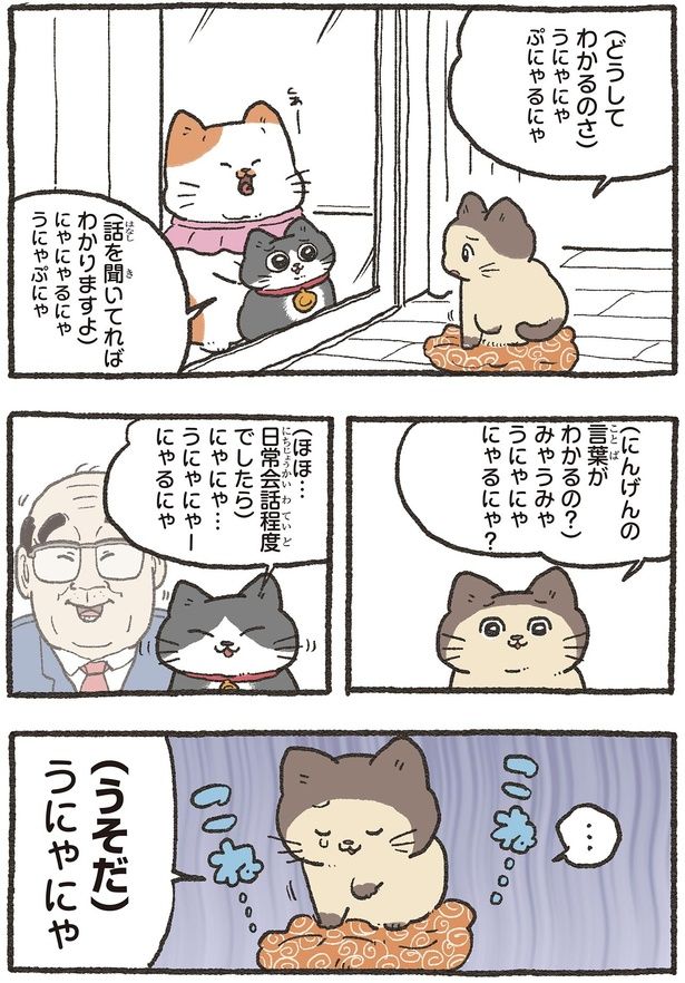 にんげんの言葉がわかるの？ （C）やじま／KADOKAWA