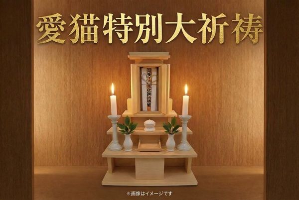 【東京都台東区】猫好きさんの祭典「にゃんだらけ20」が開催！お笑い猫ネタライブや猫の写真展を実施