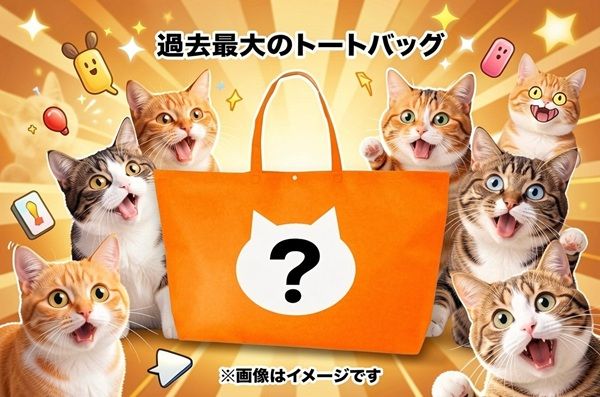 【東京都台東区】猫好きさんの祭典「にゃんだらけ20」が開催！お笑い猫ネタライブや猫の写真展を実施